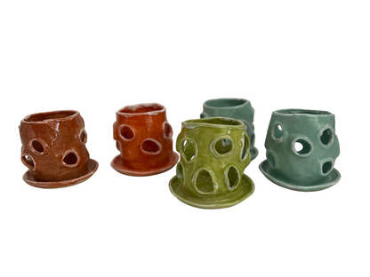 An Epiphyte's Delight (vessel)