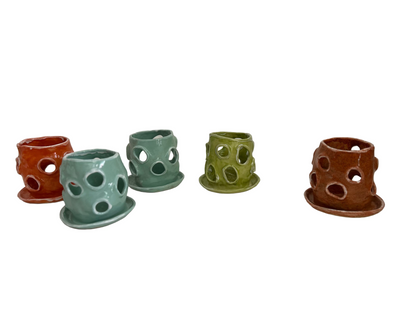 An Epiphyte's Delight (vessel)